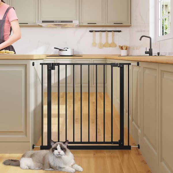 Trapp och dörrgrind 75-87 cm | Svart | 75-87x2,5x76 cm