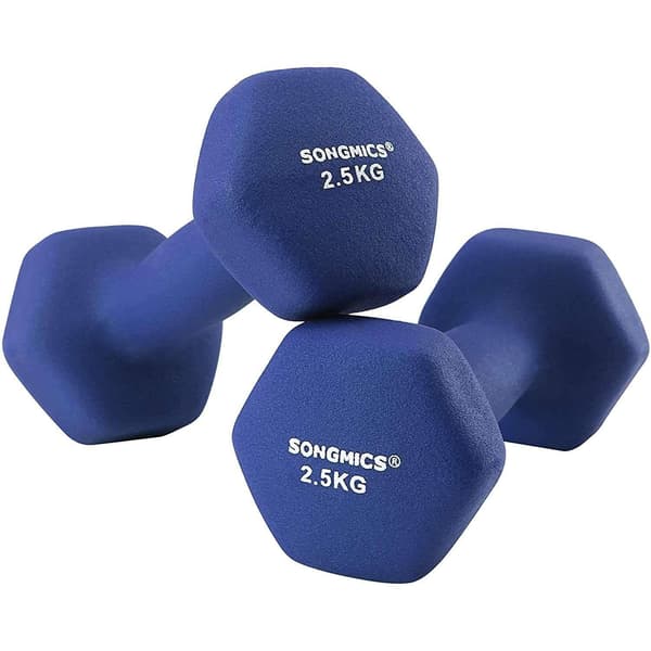 Set med hantlar - 2,5 kg per hantel - blå vikter - 2 stycken