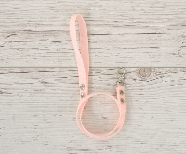 Linje för SteckenpFerd - Webbing Band - Robust and Dirt -avvisande