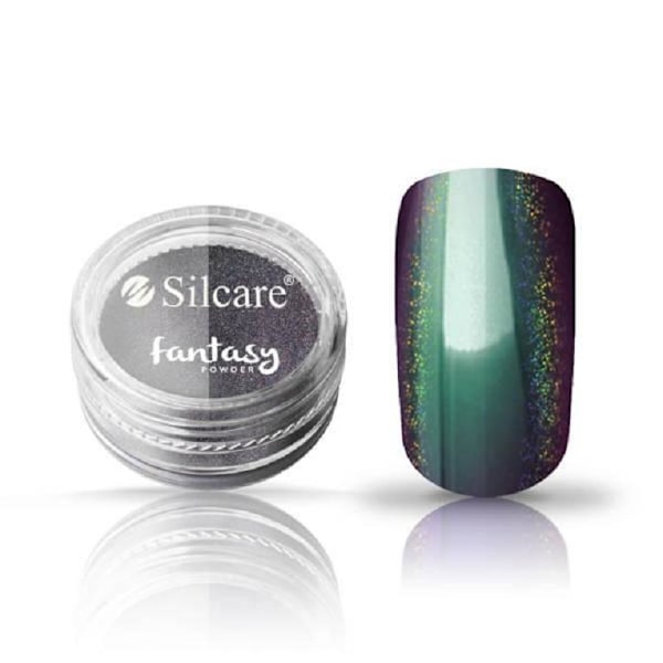 Silcare - Fantasy - Effect Powder - Holo - 01 - 0,5 gram Multicolor