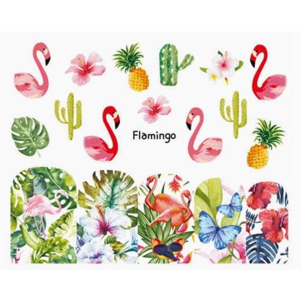 Vesitarrat - Flamingo - BN-913 - Kynsille Multicolor