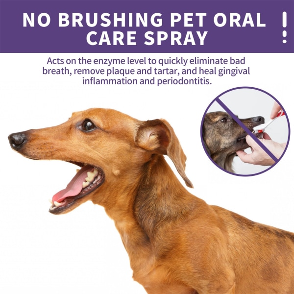 2ST Pet Oral-Cleane Spray Hundar Katter Tänder Rengör deodorant
