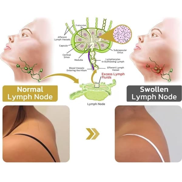 2 Par Lymphvity Magnetøreringer med Diamantbesetning