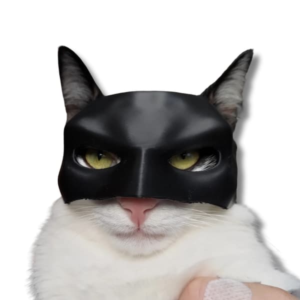 BatCat Batman kattemaske PawSmart Dark Knight Svart M