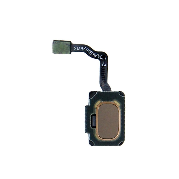 Samsung Galaxy S9/S9 Plus Hemknapp - Guld Guld