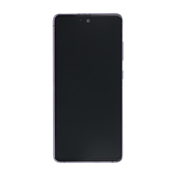 Samsung Galaxy S20 FE Skärm med LCD Display Original - Grön Mynta