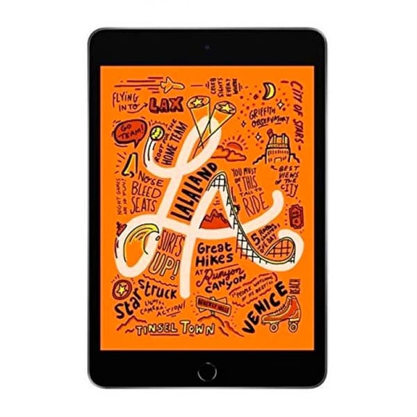 Begagnad iPad Mini 5 256GB Rymdgrå - Använt skick