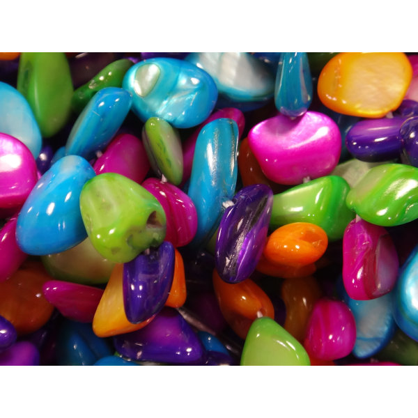 6st strängar med Snäckskalspärlor- Blandade Färger flerfärgad