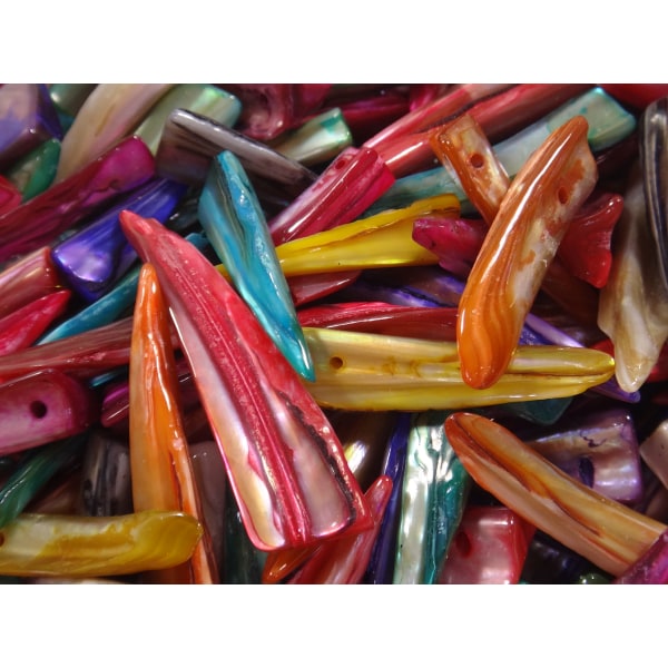 100st Snäckskalspärlor "Hajtänder" - Blandade Färger flerfärgad