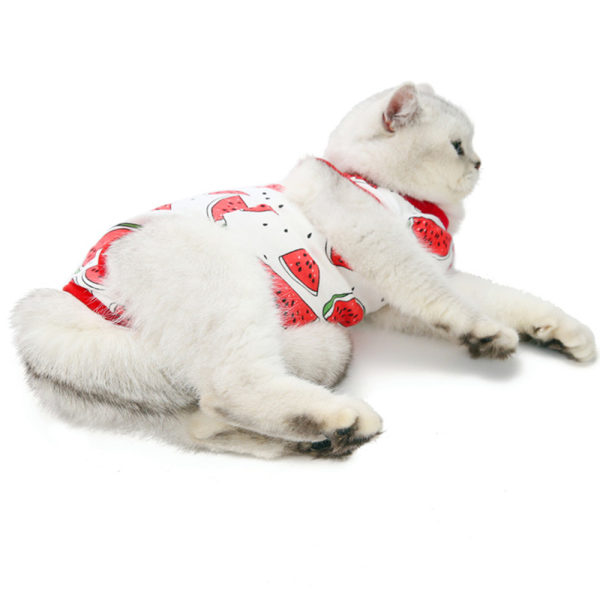 2 vår och sommar katt operationskläder anti slickande avvänjning