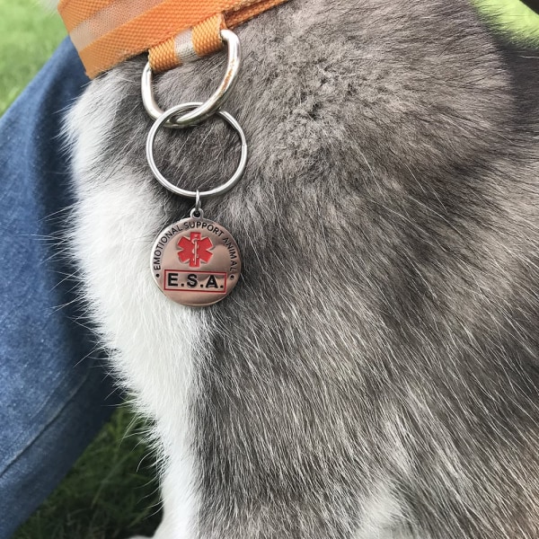 ESA Support Keychain Service Koiran merkki Kaksipuolinen tunne