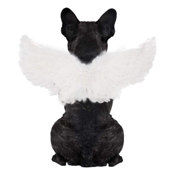 Lemmikkieläinten siipien koristelu Lemmikkien mustavalkoiset siivet Lemmikkien enkelin siivet