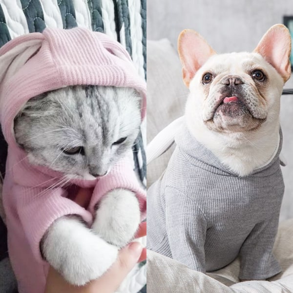 Pet Hoodie Outfit med Kaninører Sød Sweatshirt