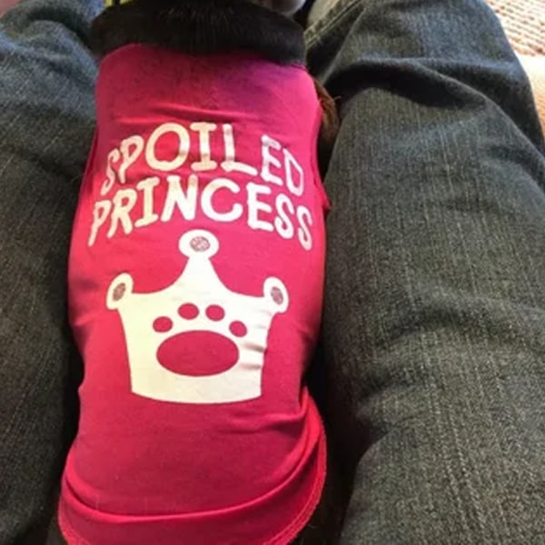 Hunde Prinsesse Hund Genser Valp Hoodie Jenter Hund Hoodies