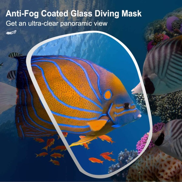 Set Snorkelutrustning – torr set och mask