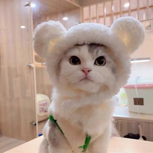 Sarjakuva karhun muotoinen cap Kitten hattu lemmikkitarvikkeita