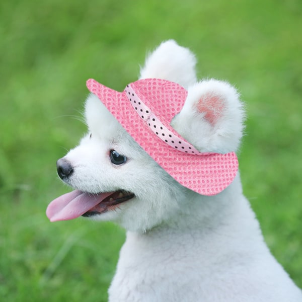 2 st runda solhatt husdjur basebollhatt hund nät porös keps