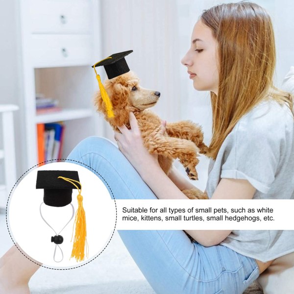 Mini kæledyr graduation caps mini bachelor hat til marsvin