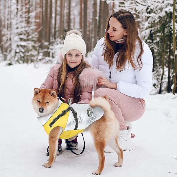 Hund bomuldsforet tøj med D-formet ring på ryggen