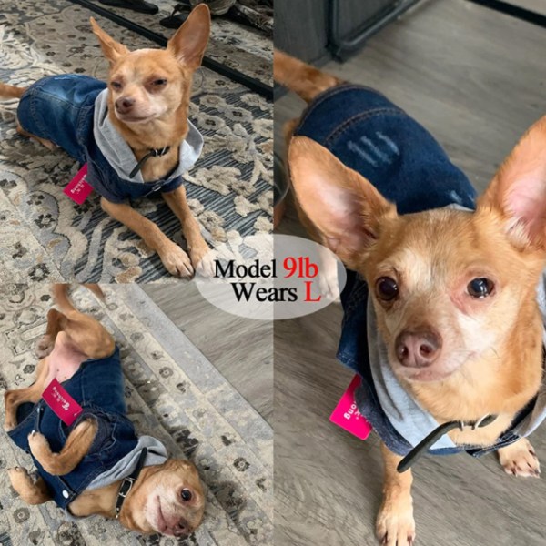 Pet kläder Hund hooded kläder Pet hooded jeans Hund väst väst