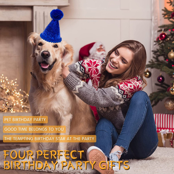3 stk hundebursdagshatt til kjæledyr Julefestdekorasjon