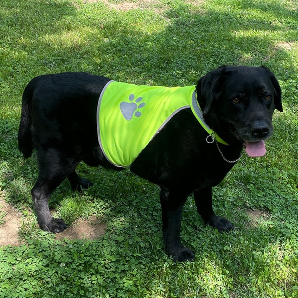 Reflekterende hundevest til jagt - Komfortabel hund