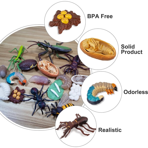 16 st insektsfigurer Livscykel av hjortbagge, honung