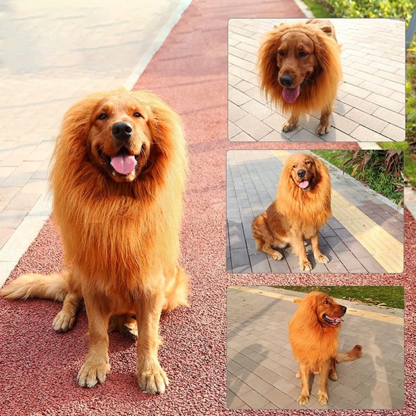 Hundeparyk løvemankehund naturtro løveparykhundløve