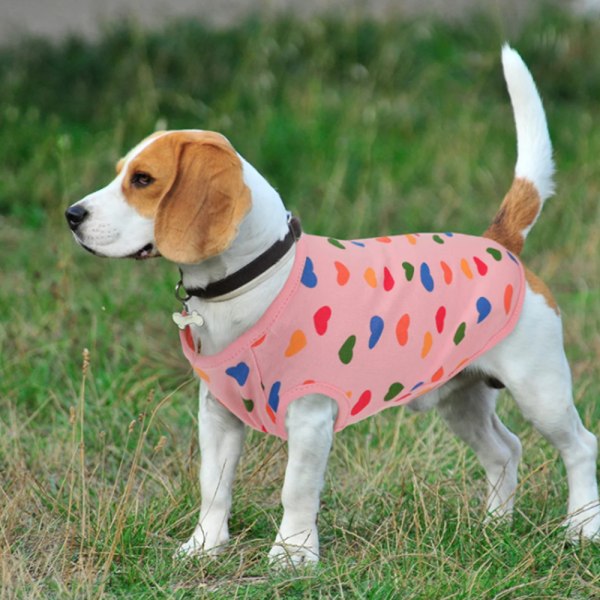 2 stk kjæledyr farge kjærlighet vest hund vår og sommer klær