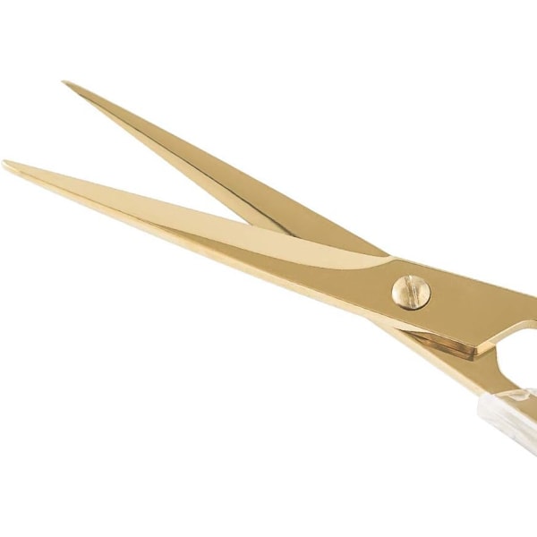 Snygg akryl guld rostfritt stål Premium Multipurpose Scisso