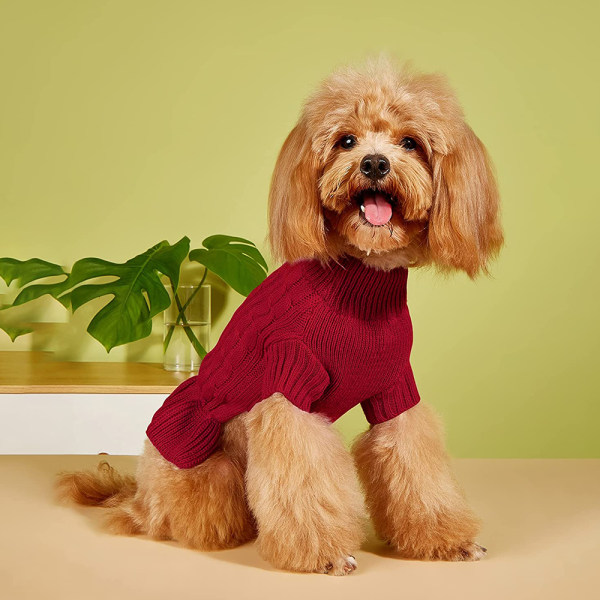 Hund varm stekt deg twist tröja liten hund tröja tvåbent