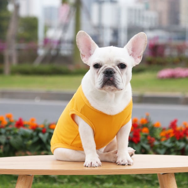 Koiran paidat Pehmeä koiran T-paita Lemmikkieläinten perusvaatteet Pet Puppy Blank