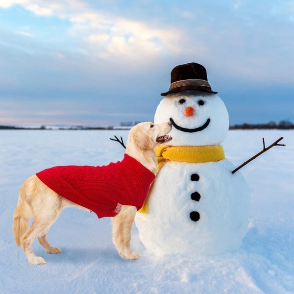 2 stk. kæledyrstøj kat hund to-benet efterår vinter sweater