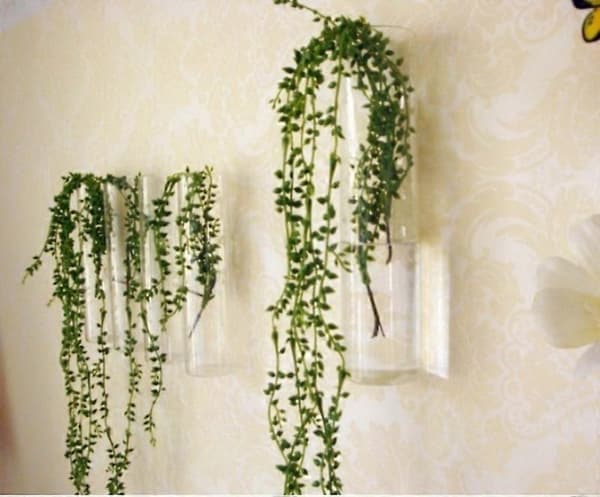 Cylinder Glas Väggvas Flaskvaser för Växt Blomma Hem Rum Dekoration A