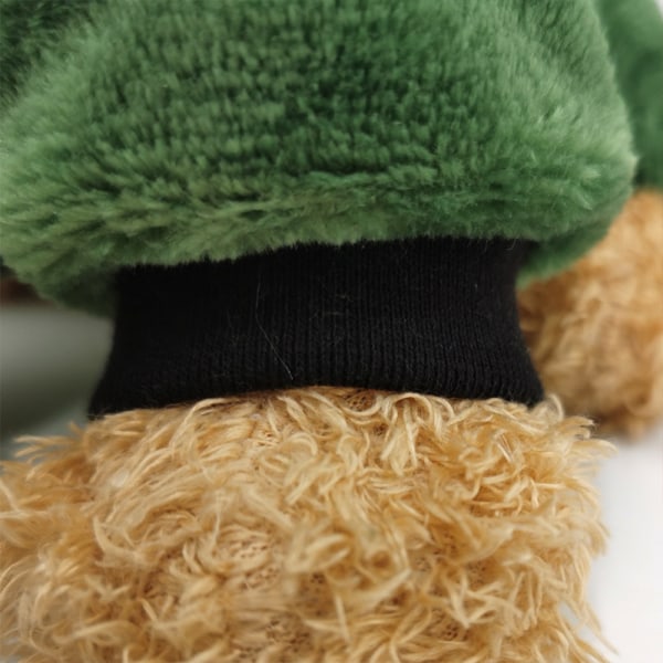 Korall ner valp kostym tecknad hund dinosaurie kostym