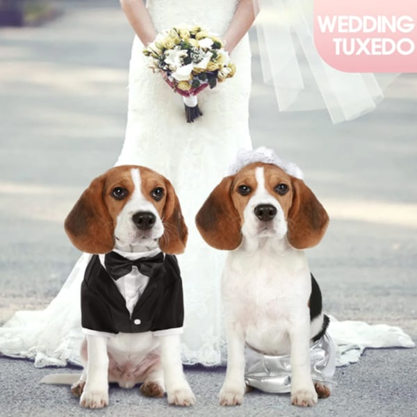Hundetøj Pet Suit Pet Brudekjole Pet Sort Bryllupsjakke