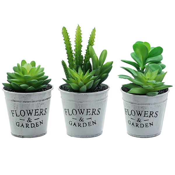 3-delt lyssimuleringsplante potteeukalyptus for innendørs
