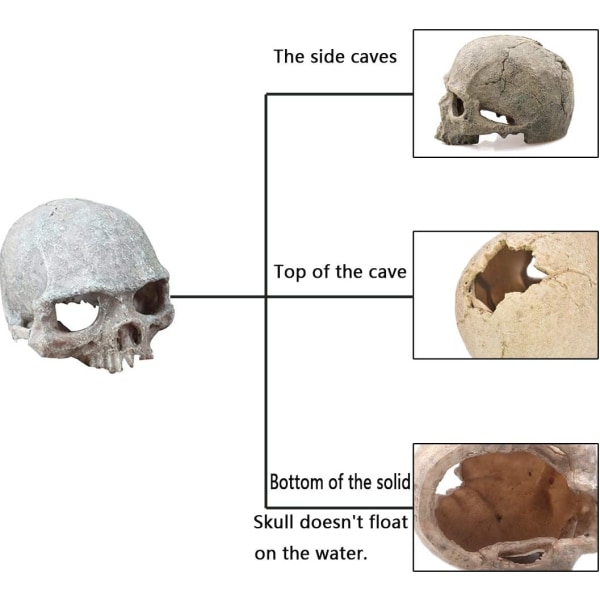 Aquarium Skull Decor, Resin Fish Tank Decorations Cave Betta