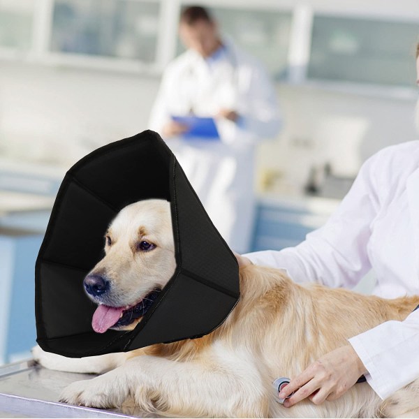 Myk hundekjegle for små mellomstore store hunder, elisabethansk