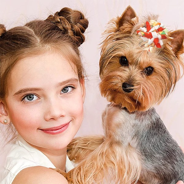 Små hundehårssløjfer krøllet Yorkie Topknot kattehvalpe hår