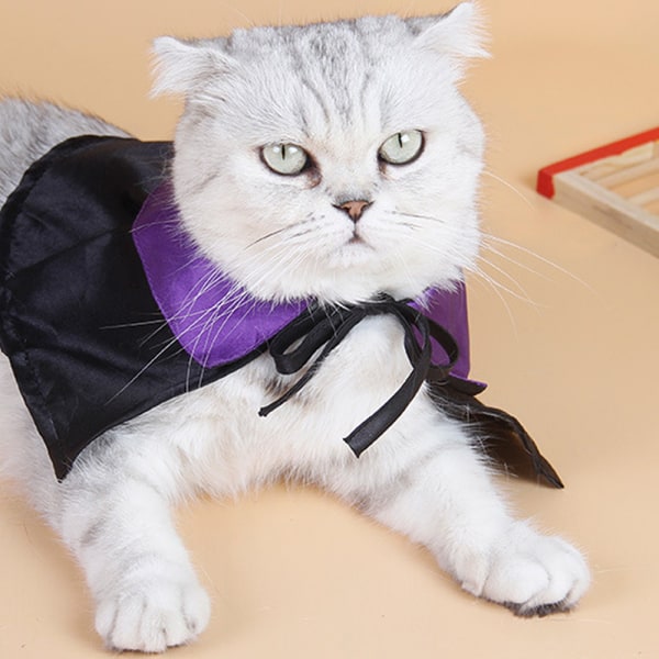Kæledyrshattekappe katte- og hundekapper kæledyrsfestivalfestkjole
