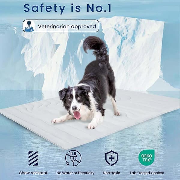 Slå varmen: Hold din hund kølig med denne kølemåtte til kæledyr