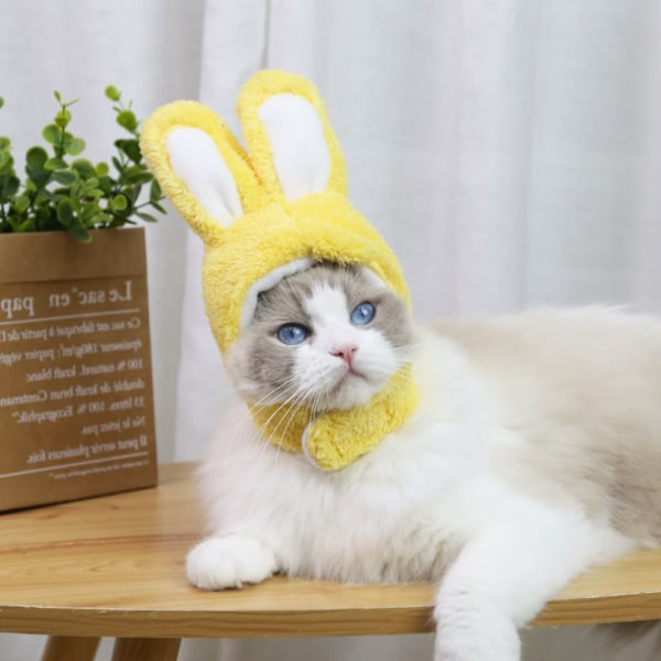 Pet Cute Hat Cat Hat Easter Bunny Hat with Rabbit Ears Cap