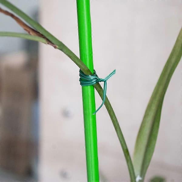 100M 50M Nylon Havekabelbindere Strømkabel Løkketape Blomsterkabelbinder Multifunktion
