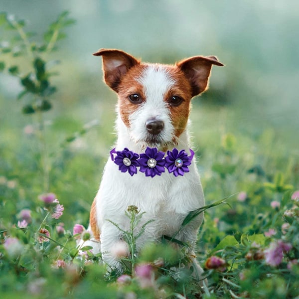 10 stk Hund Sløyfe Hund Blomster Halsbånd Diamant Hund Tilbehør Kjæledyr