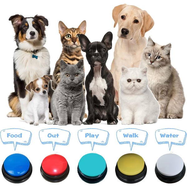 Hundeknapper for kommunikasjon Stemmeopptakbare knapper Hund for