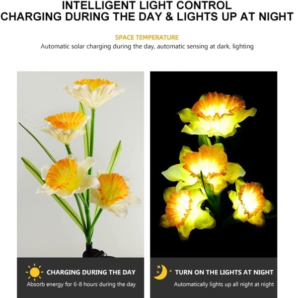2 Pack Solar Daffodil Lights Dekorativa Path Lights för
