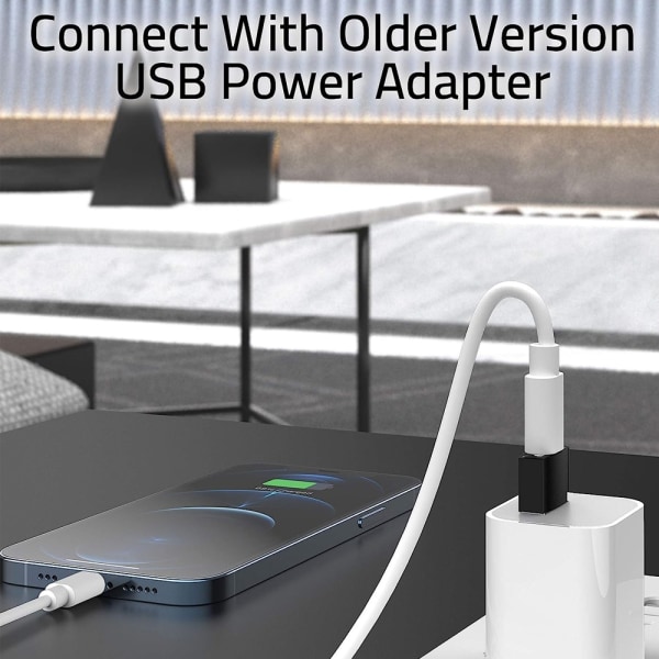 USB C hunn til USB hann adapter 3-pak [aluminiumsdeksel,