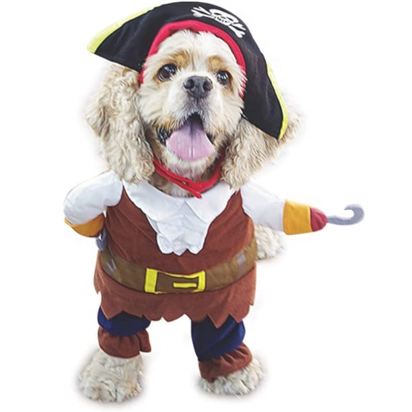 Hunden förvandlas till en piratdräkt. Nya husdjurskostymer för Halloween