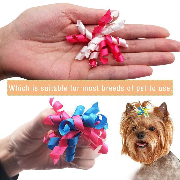 Små hundehårssløjfer krøllet Yorkie Topknot kattehvalpe hår